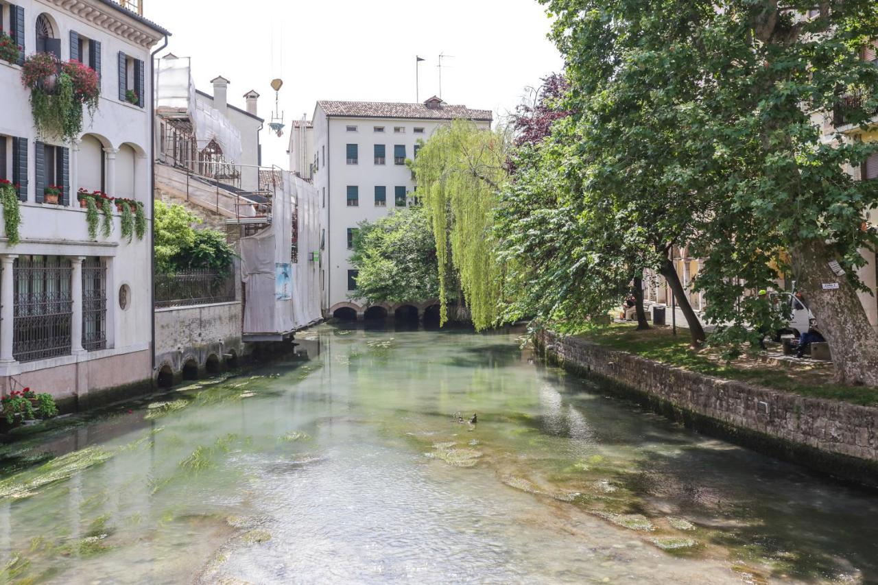 Treviso City Town 1 Eksteriør billede